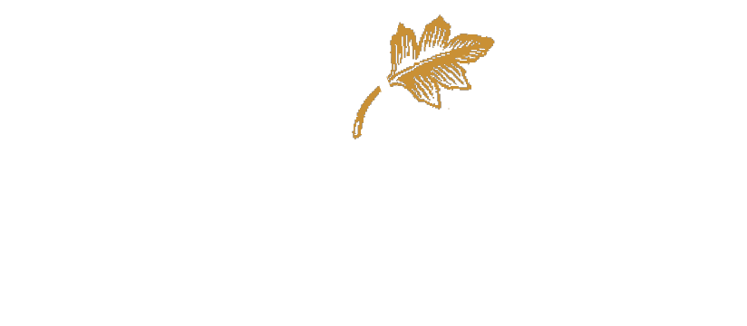 Hotel Aubepine
