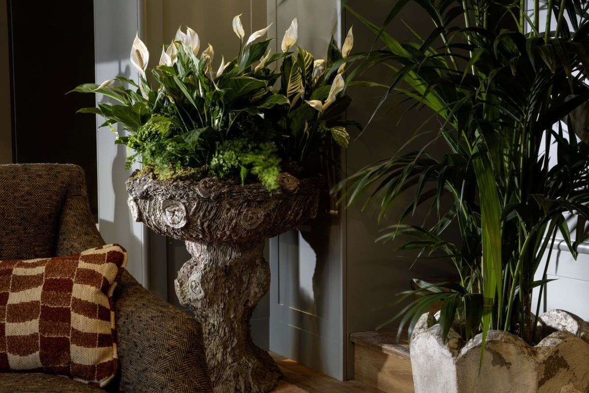 Hotel Aubepine Paris